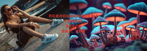 PSILOCYBIN Белоозёрский